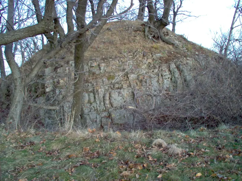 Oroszlánkő vára, Domoszló