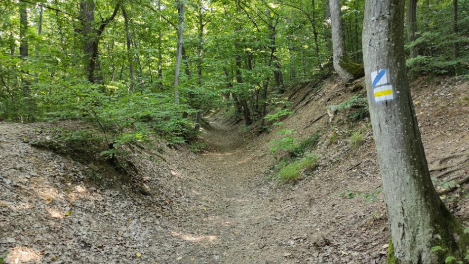 Kő-közi Tanösvény, Felsőtárkány