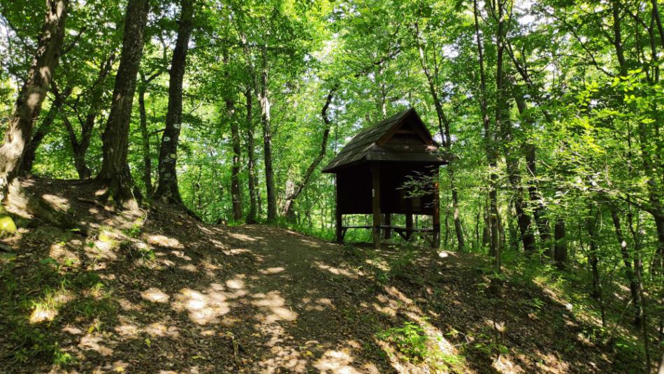 Kő-közi Tanösvény, Felsőtárkány