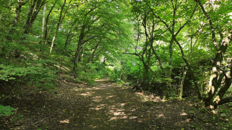 Kő-közi Tanösvény, Felsőtárkány