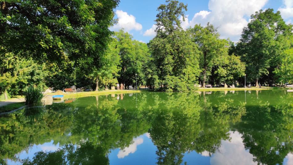 Felsőtárkányi tó, Felsőtárkány