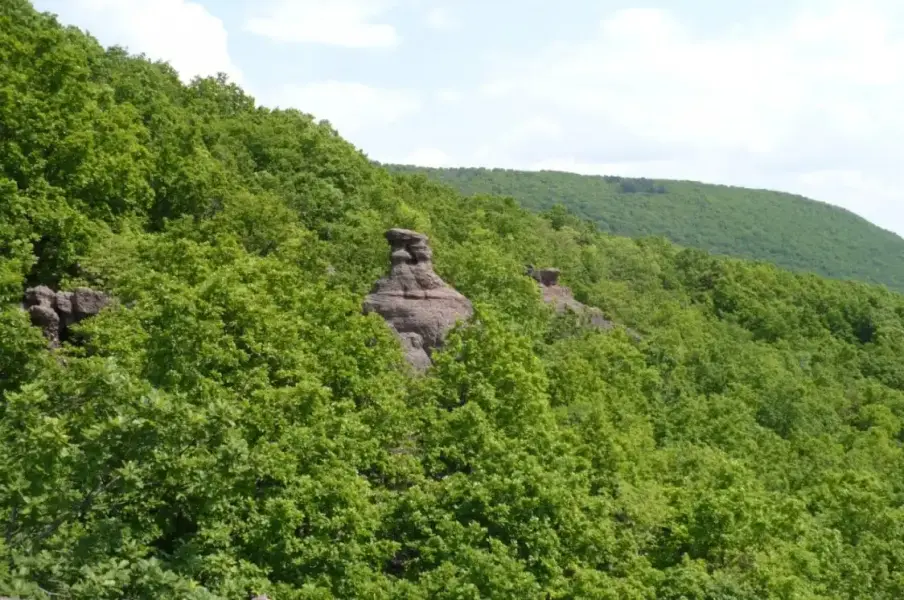 Babás Szerkövek, Kővágószőlős