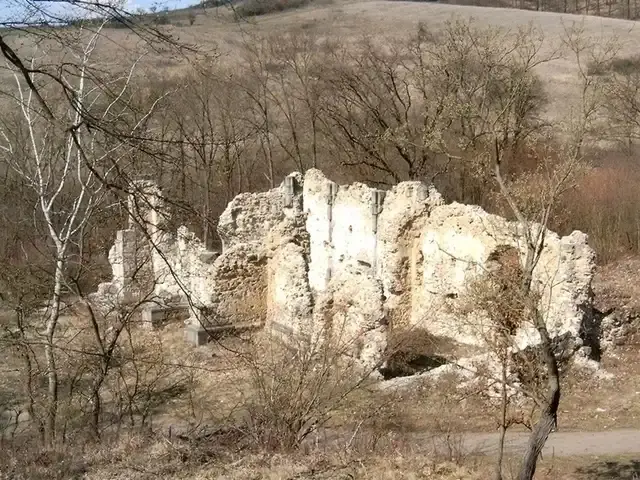 Pálos templom- és kolostorrom, Kurityán