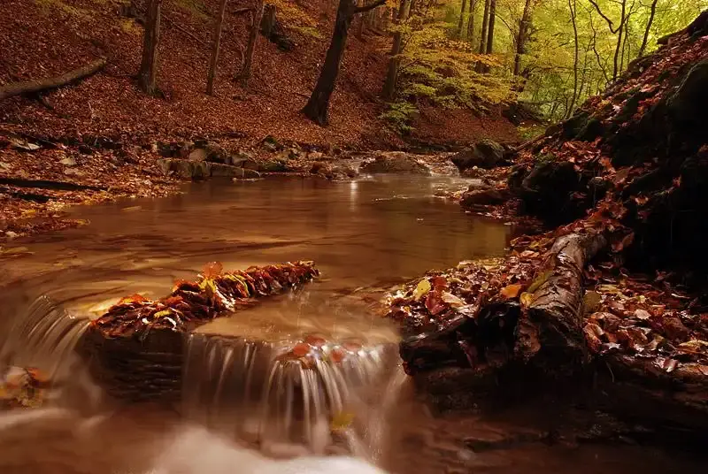 Brauer Panzió, Mecseknádasd