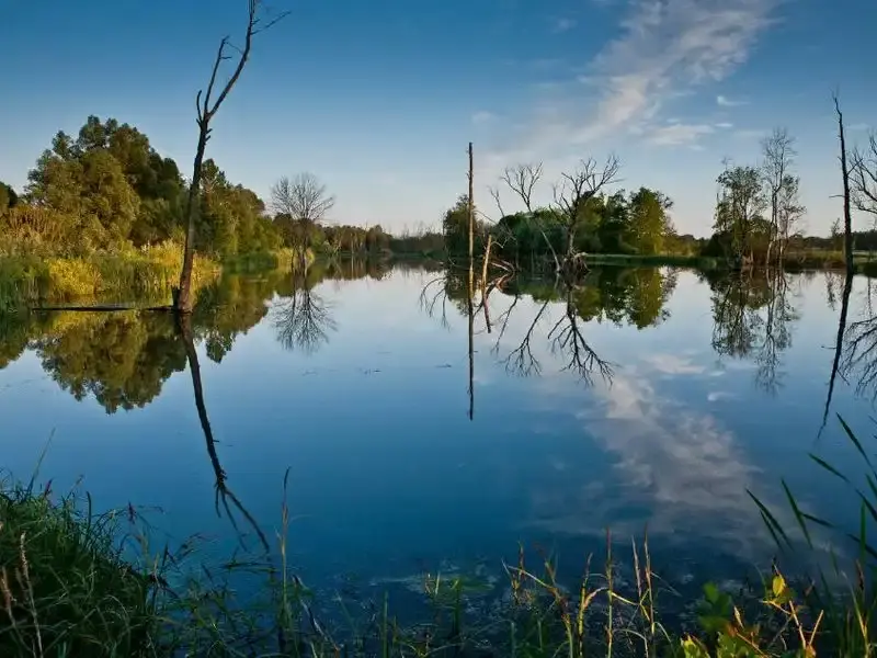 Somogyfajszi víztározó, Somogyfajsz