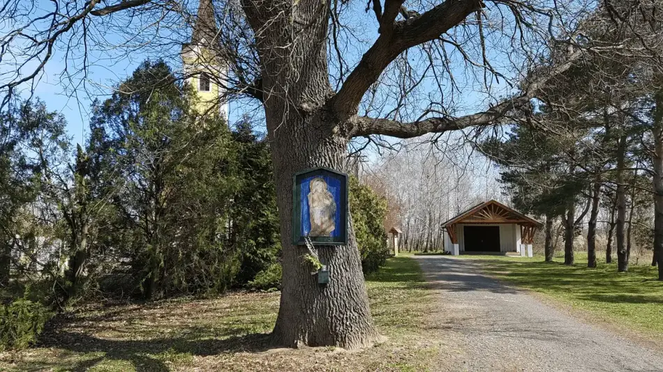 Keresztelő Szent János templom, Vasszécsény