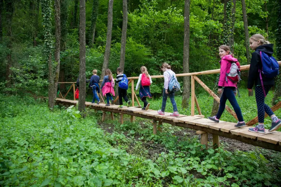 Budafai Arborétum, Kiscsehi