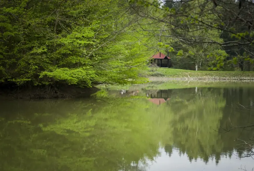 Budafai Arborétum, Kiscsehi