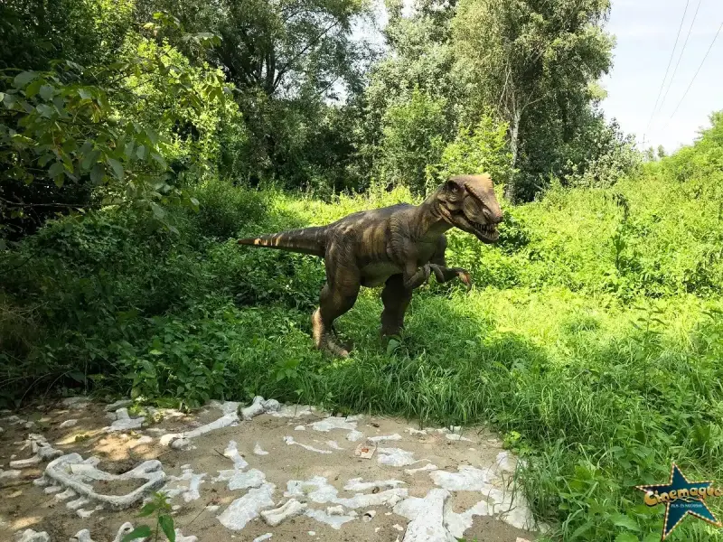 Cinemaqua Film- és Naturpark, Kisvárda