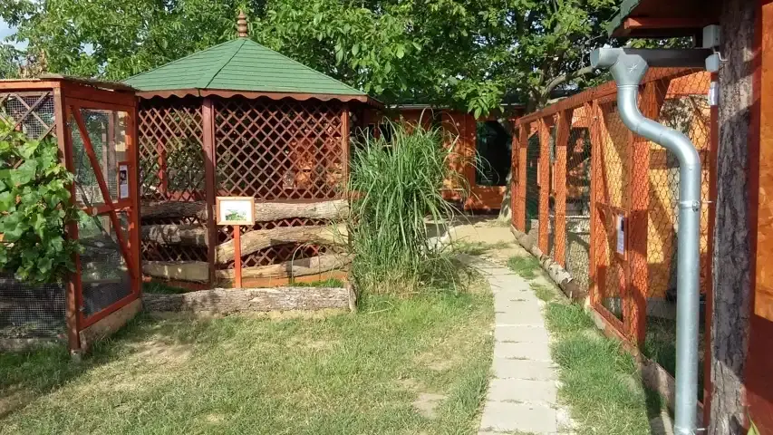 Mini ZOO, Komló