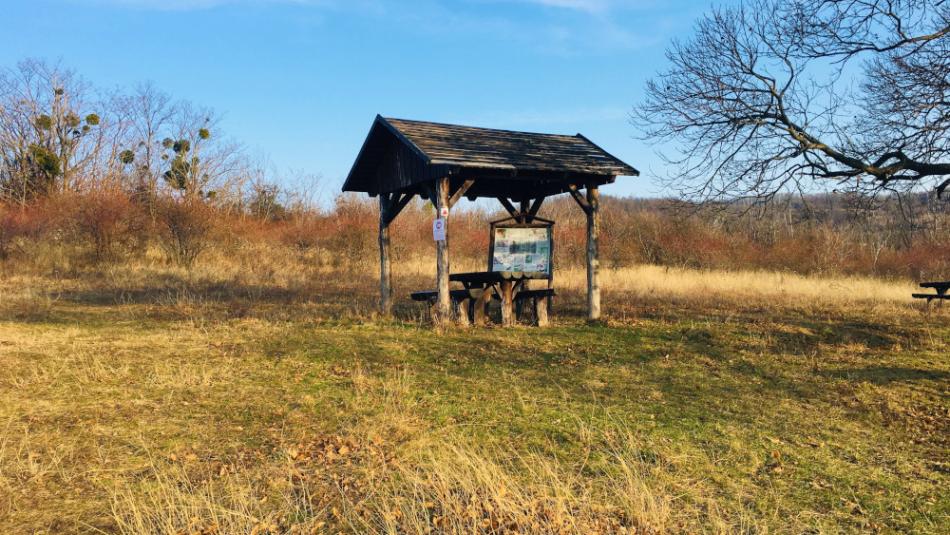 Kupa-Koppány vezér Emlékpark, Szólád