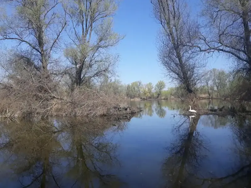 Lakitelki-tőzegbányatavak, Lakitelek