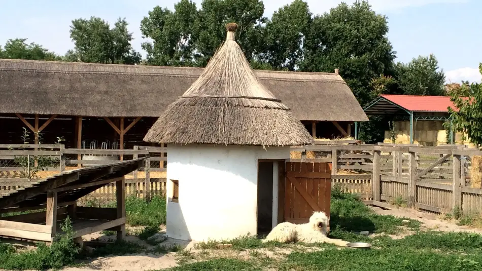 Bemutató Majorság és Látogatóközpont, Sarród