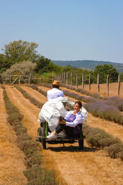 Lavender Tihany Látványközpont, Tihany