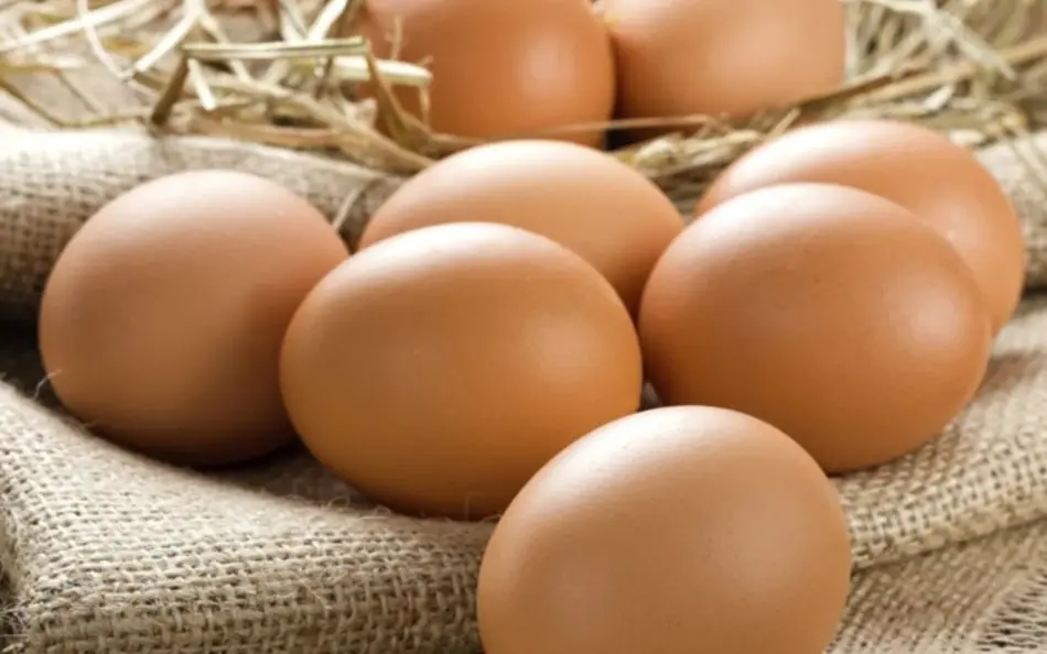 LídRind porta, Zalaszentgrót