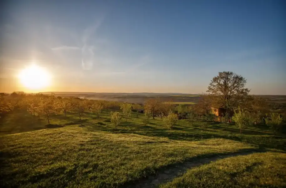 Dióliget, Lovasberény