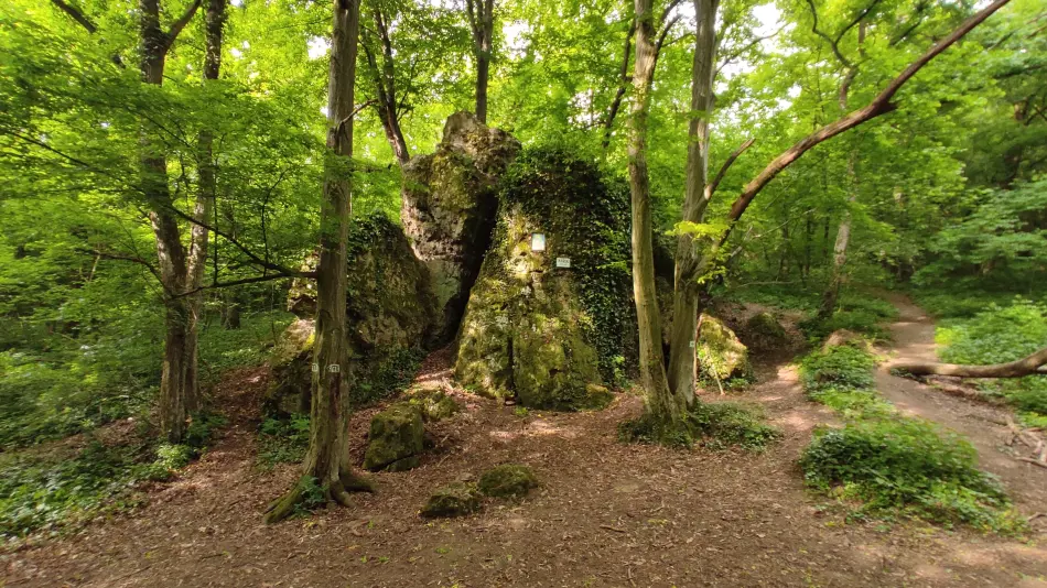 Mária-szurdok, Budakeszi