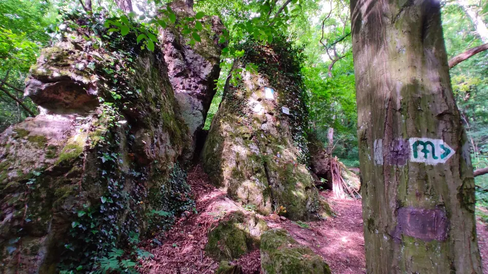 Mária-szurdok, Budakeszi