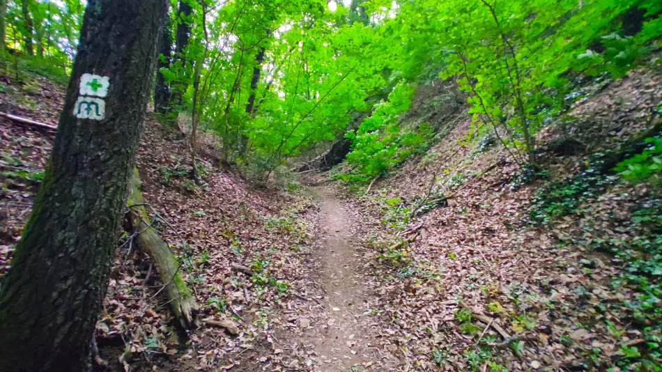 Mária-szurdok, Budakeszi