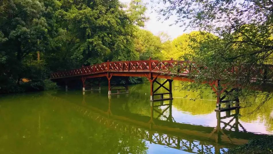 Brunszvik-kastély parkja, Martonvásár