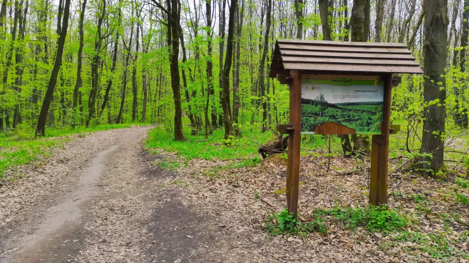 Medvehagyma tanösvény, Tatabánya