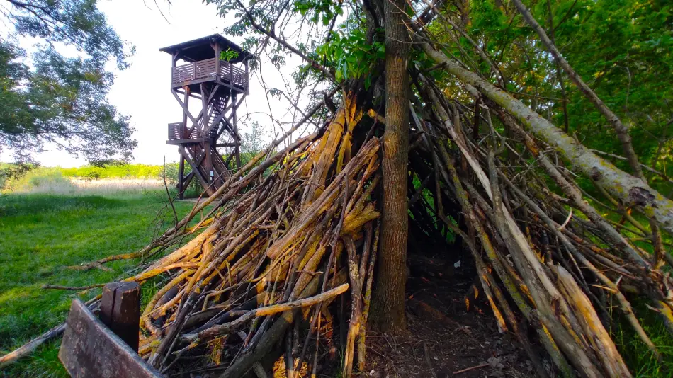 Merzse mocsár, Budapest