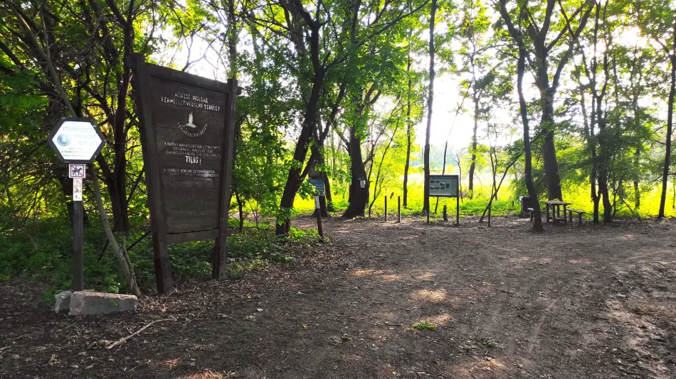 Merzse mocsár, Budapest