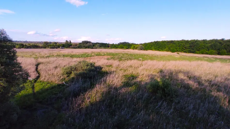 Merzse mocsár, Budapest