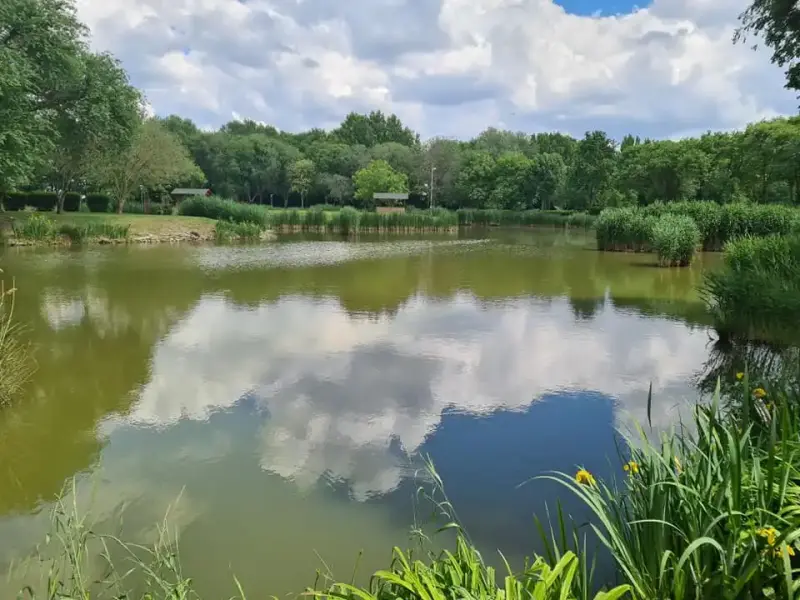 Békás-tó, Mezőhegyes