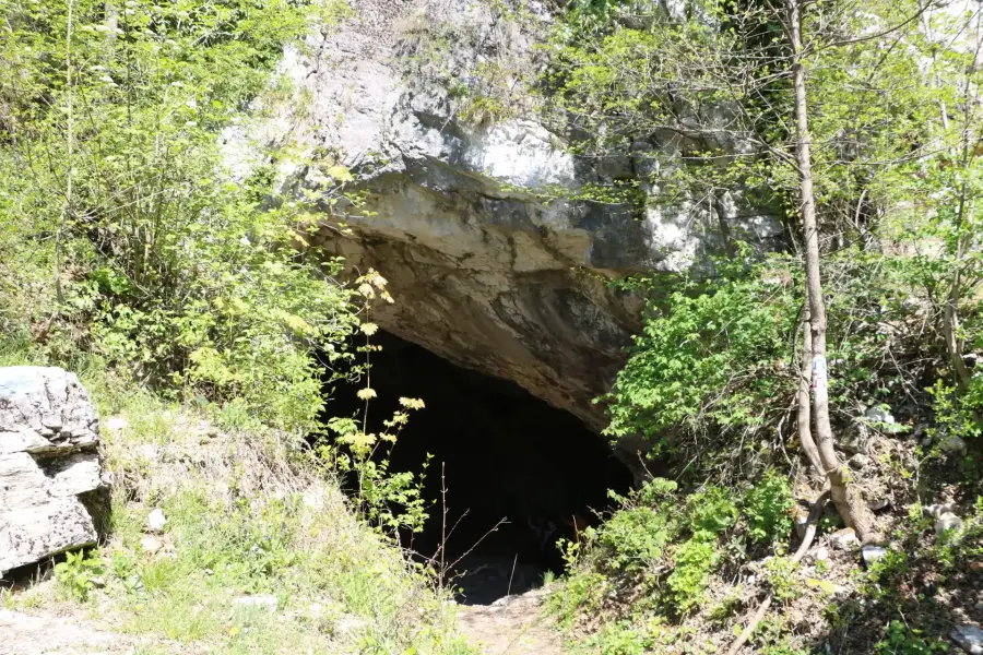 Szeleta-barlang, Miskolc