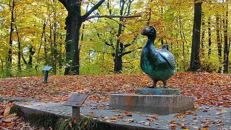 Miskolci Állatkert és Kultúrpark / Miskolc Zoo, Miskolc