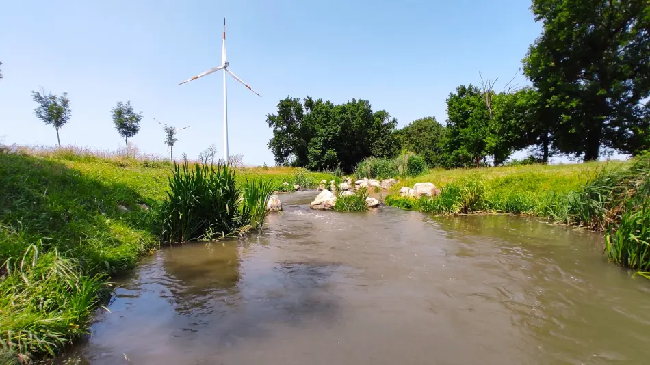 Mosonmagyaróvári Hallépcső, Mosonmagyaróvár