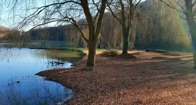 Wild & Free Private Lake, Nagycsepely