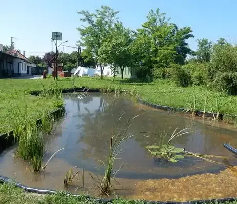 Szikes vizes élőhelyek tanösvény, Nagyér