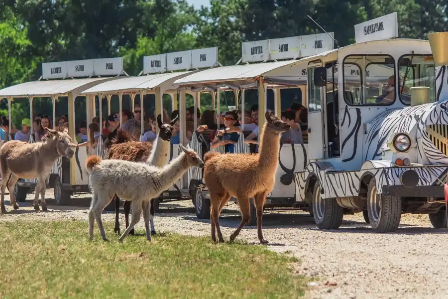 Richter Safari Park, Nagykőrös