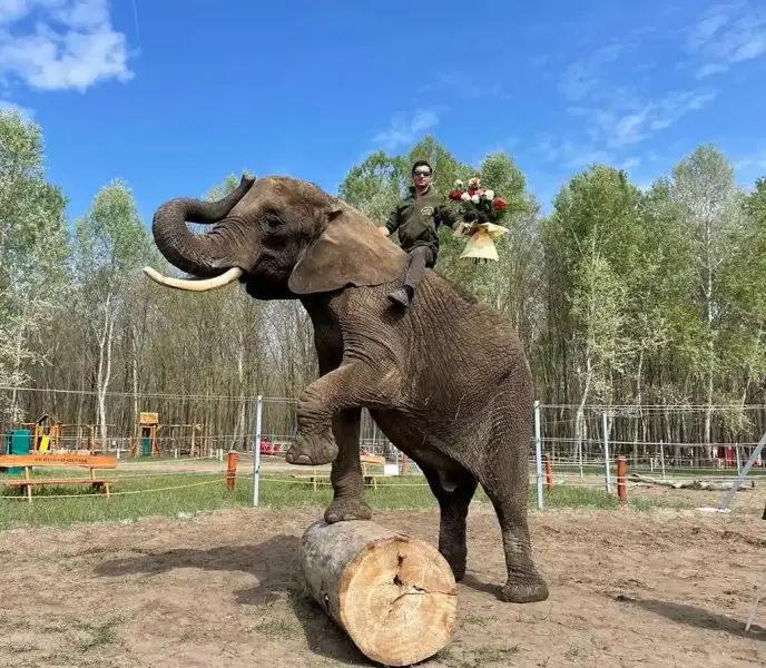 Richter Safari Park, Nagykőrös