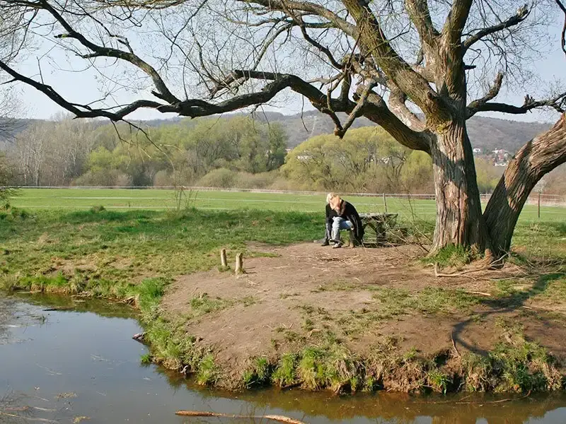 Békás-tó, Nagykovácsi