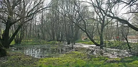 Békás-tó, Nagykovácsi