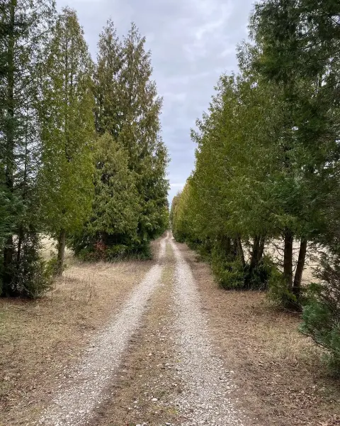 Neszmélyi Arborétum, Neszmély