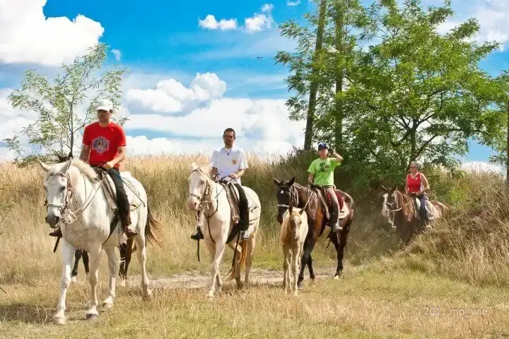 Akhal Ménes, Ópusztaszer