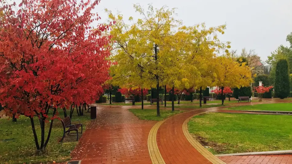 Park Orosháza, Orosháza