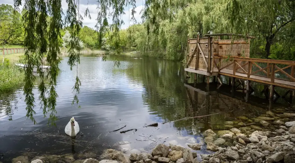 Pákozdi Pagony - Vadaspark és Arborétum, Pákozd