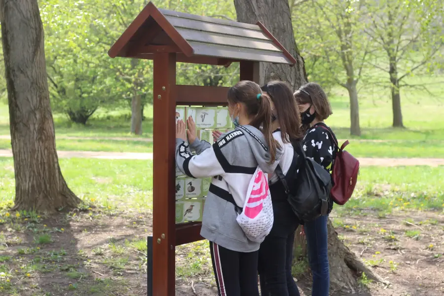 Pákozdi Pagony - Vadaspark és Arborétum, Pákozd