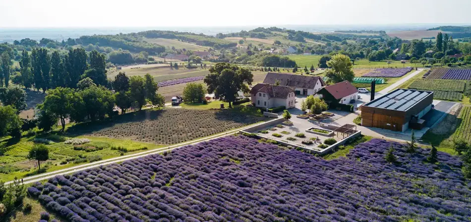 Apátsági Arborétum és Gyógynövénykert, Pannonhalma