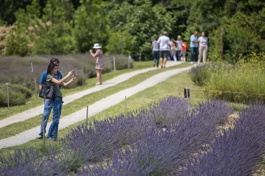 Apátsági Arborétum és Gyógynövénykert, Pannonhalma