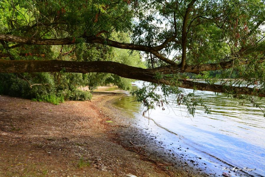 Pap-sziget Kemping, Bungalow-park és Ifjúsági szállás, Szentendre