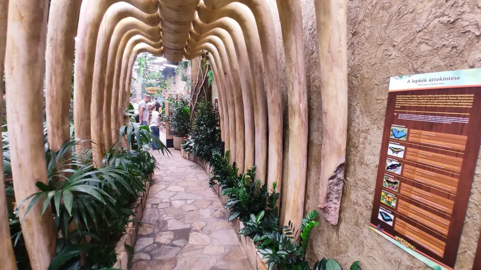 Papilonia Lepkevilág, Budapest