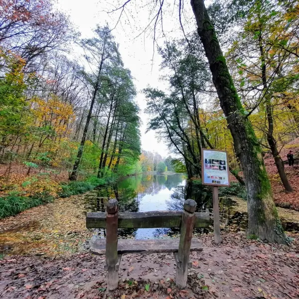 Égervölgyi tanösvény, Pécs