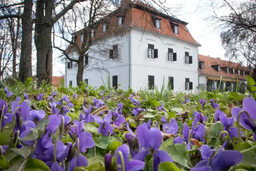 Üszögi Batthyány Kastély, Pécs