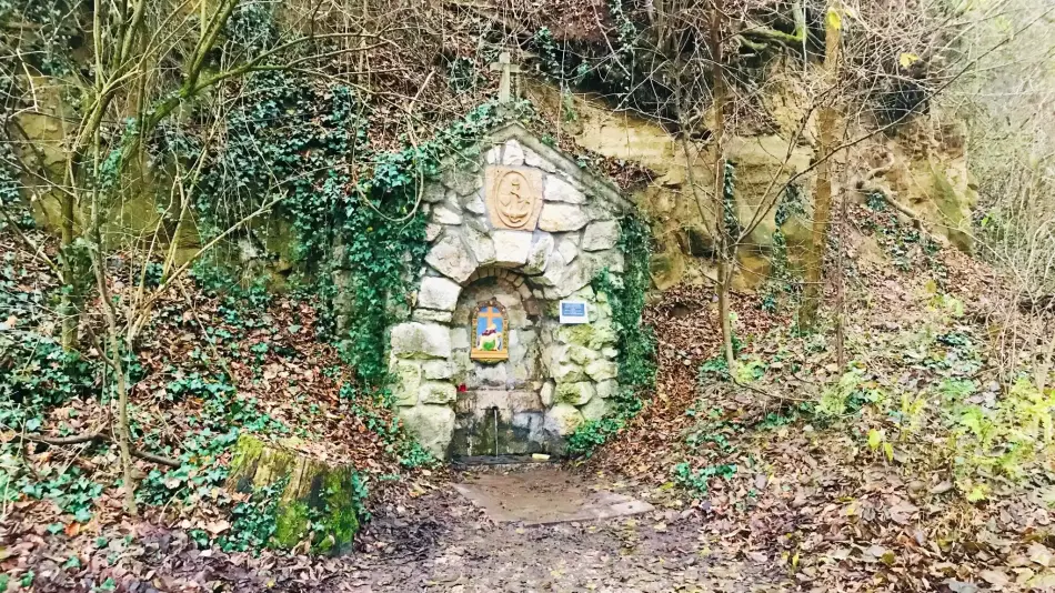 Lourdes-i barlang, Bajót